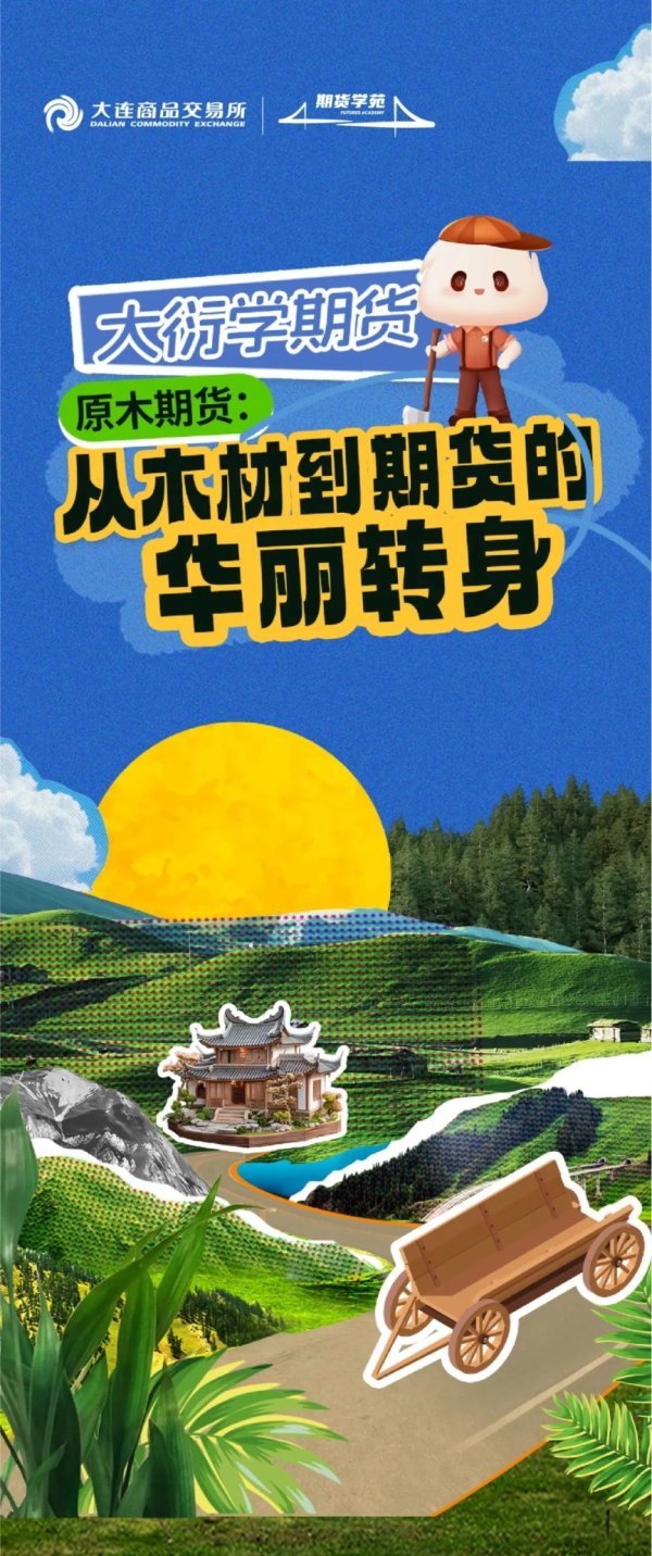 配资资讯网 大商所：从木材到期货的华丽转身——一图读懂原木期货
